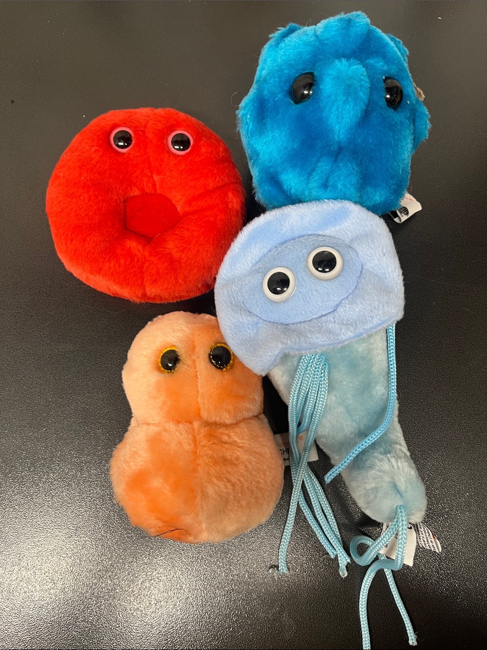 4 Giant Microbes Plush Set- Giardia, Ear Ache, Common Cold and Red Blood Cell